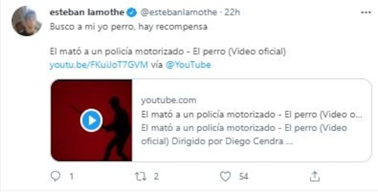 La divertidísima reacción de Esteban Lamothe a la foto viral de un perro igual a él: “Es algo mío sí o sí”