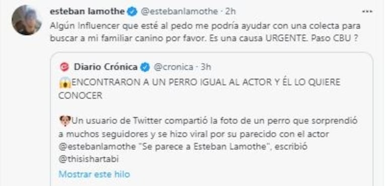 La divertidísima reacción de Esteban Lamothe a la foto viral de un perro igual a él: “Es algo mío sí o sí”