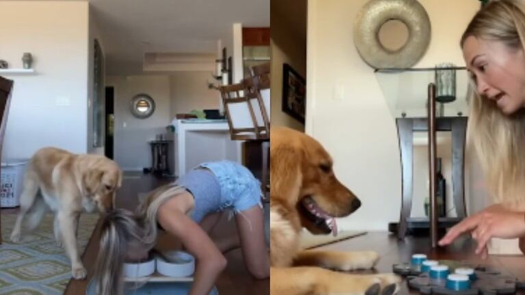 La dueña de este perro decide cambiar de roles y hacer todas las cosas molestas que suele hacer