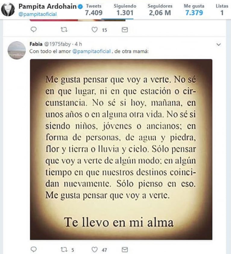La emotiva carta "de otra mamá" a la que Pampita le puso me gusta en Twitter