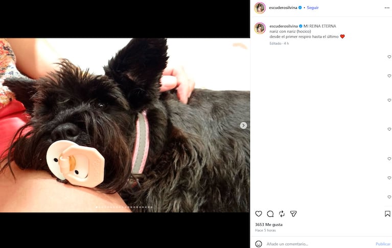 La emotiva despedida de Silvina Escudero a Mulata (Foto de Instagram)