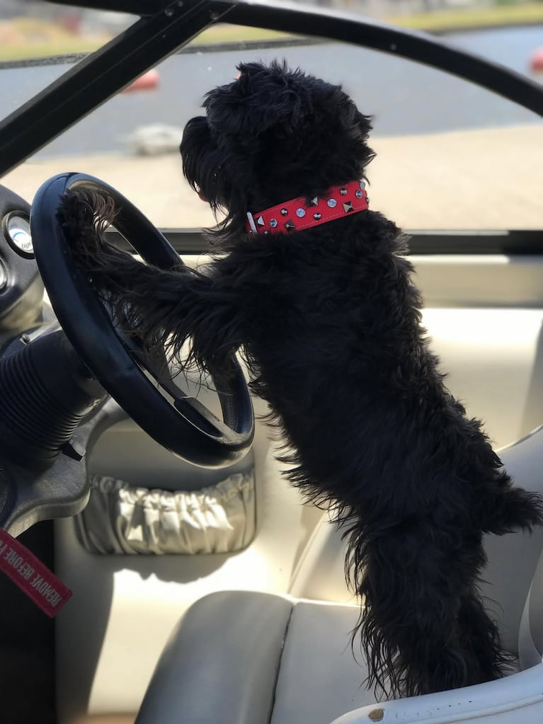 La emotiva despedida de Silvina Escudero a Mulata (Foto de Instagram)
