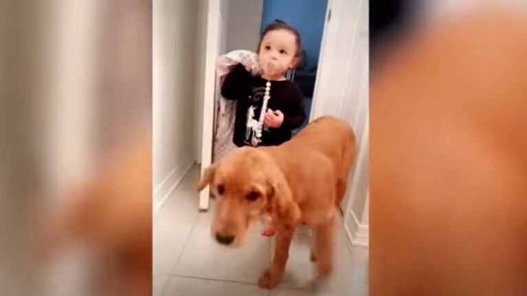 La emotiva relación desde pequeños de un bebe y un cachorro