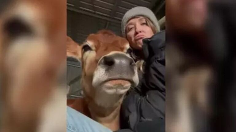 La emotiva relación entre esta chica y su vaca