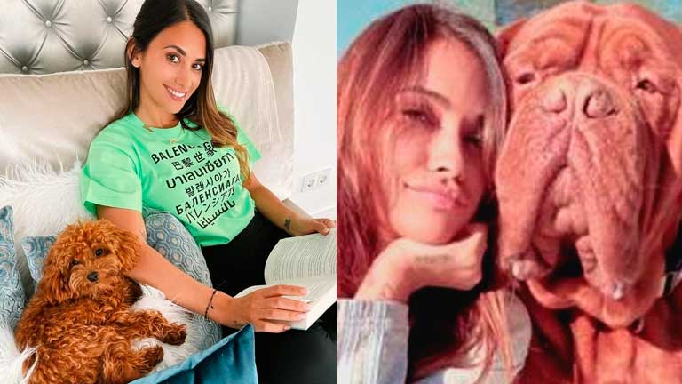 La esposa de Lionel Messi se mostró junto a sus dos perros en las redes