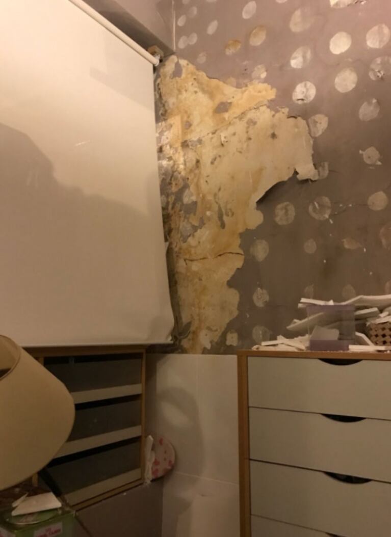La furia de Sofía Pachano al encontrar su casa destruida: "Tener todo roto por la obra que hacen al lado"