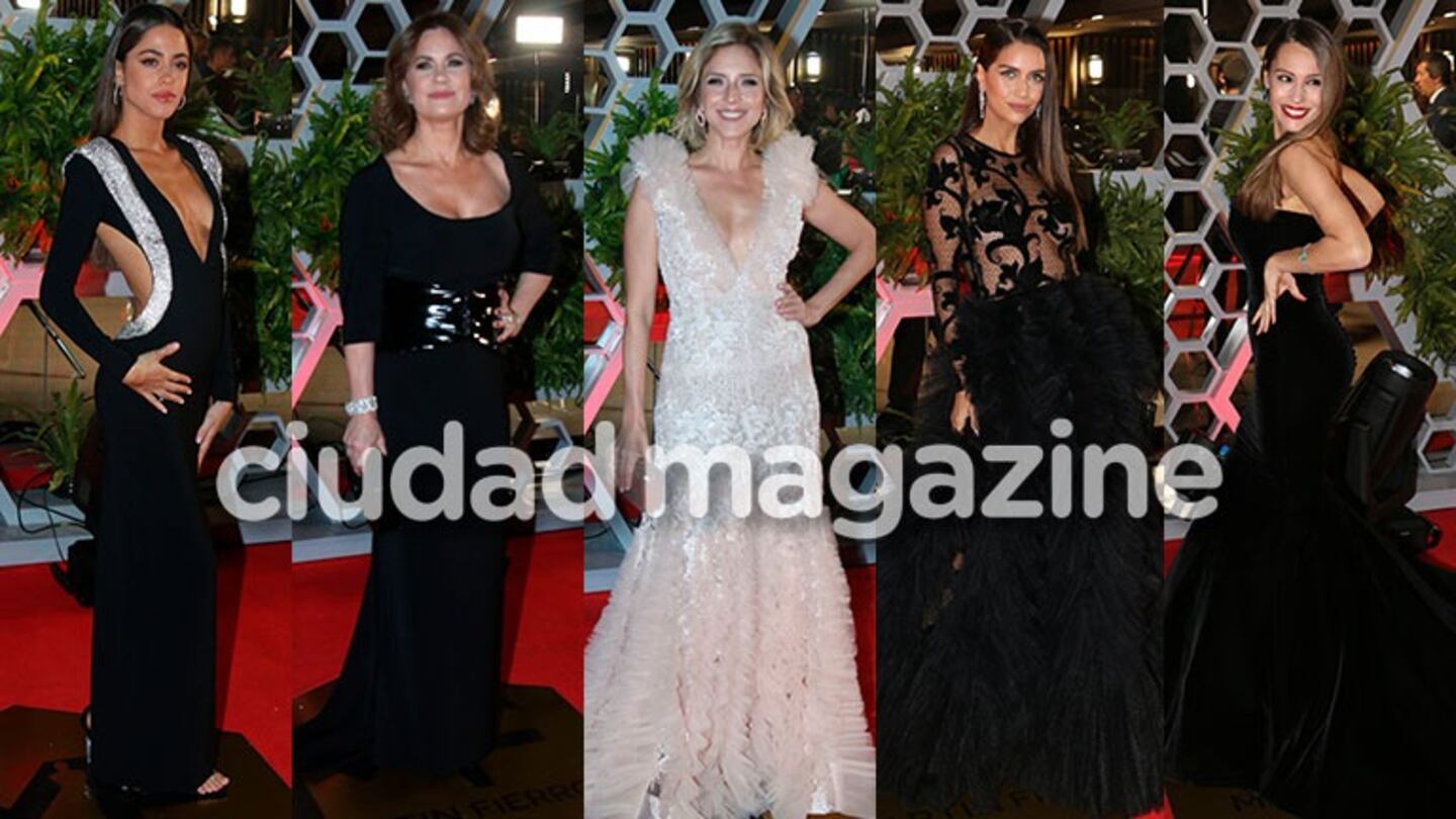 La gran alfombra roja de los Martín Fierro 2019: los mejores y peores looks de las estrellas 