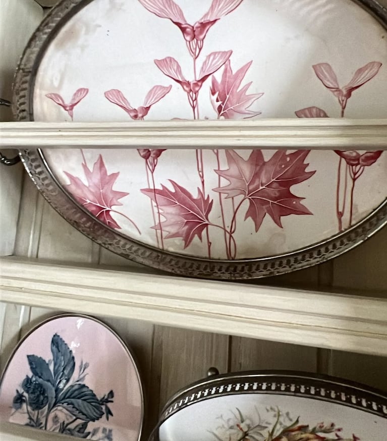 La increíble colección de platos de Natalia Oreiro (Foto de Instagram @nataliaoreirosoy)