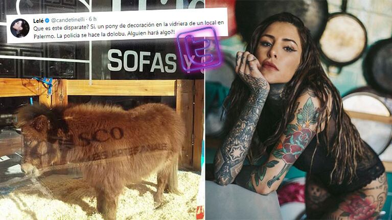 La indignación de Cande Tinelli por el local que expuso un pony en su vidriera