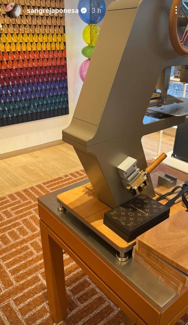 La lujosa y extravagante nueva adquisición  de la China Suárez. Foto: Captura de Instagram Stories (@sangrejaponesa)