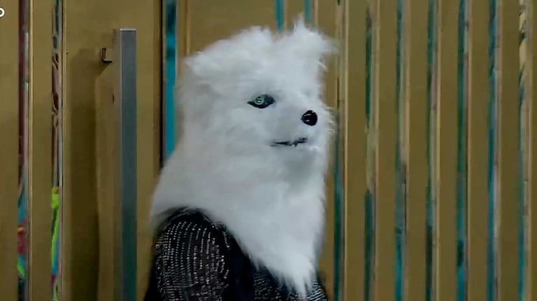 La Maciel en la casa de Gran Hermano (Foto: captura Telefe)