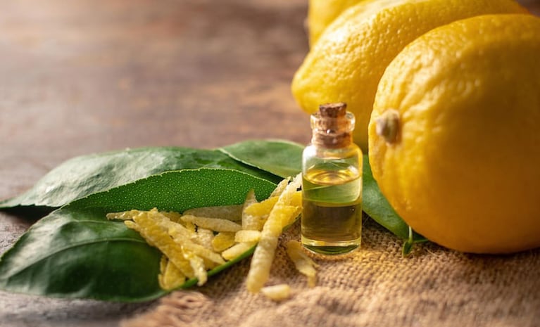 La mezcla de cáscara de limón y aceite, ideal para guardar en un frasco y tener a mano. Foto: Freepik