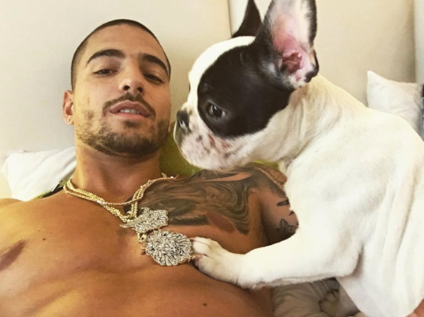 La muerte de la mascota de Maluma conmovió a todos sus fanáticos