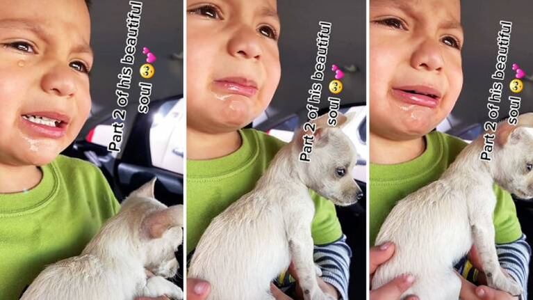 La muy tierna reacción de un nene cuando vacunan a su cachorrito chihuahua