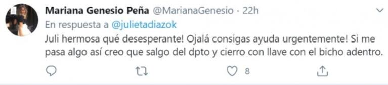 La noche de terror que vivió Julieta Díaz con su hija: "¡Se metió un murciélago en mi casa! ¿Me ayudan?"