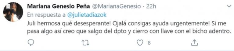 La noche de terror que vivió Julieta Díaz con su hija: "¡Se metió un murciélago en mi casa! ¿Me ayudan?" 