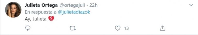 La noche de terror que vivió Julieta Díaz con su hija: "¡Se metió un murciélago en mi casa! ¿Me ayudan?"