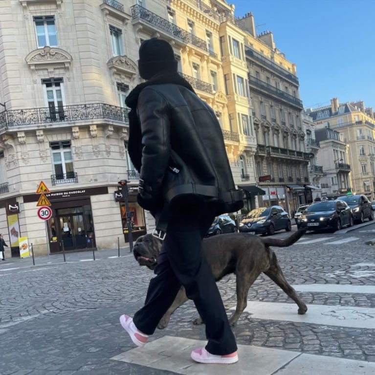 La nueva vida de Wanda Nara en París: paseos y mimos con Mauro Icardi y Tano, la mascota