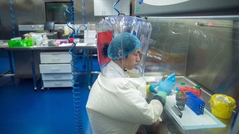 La OMS y China concluyen que el coronavirus es de origen animal y que surgió en diciembre en Wuhan. Foto: AFP.