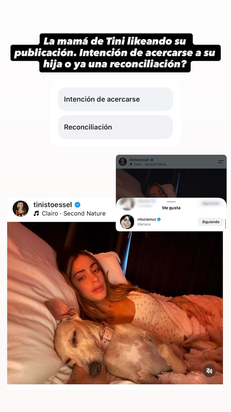 La particular observación de Pochi en redes (Foto: Instagram @gossipeame)