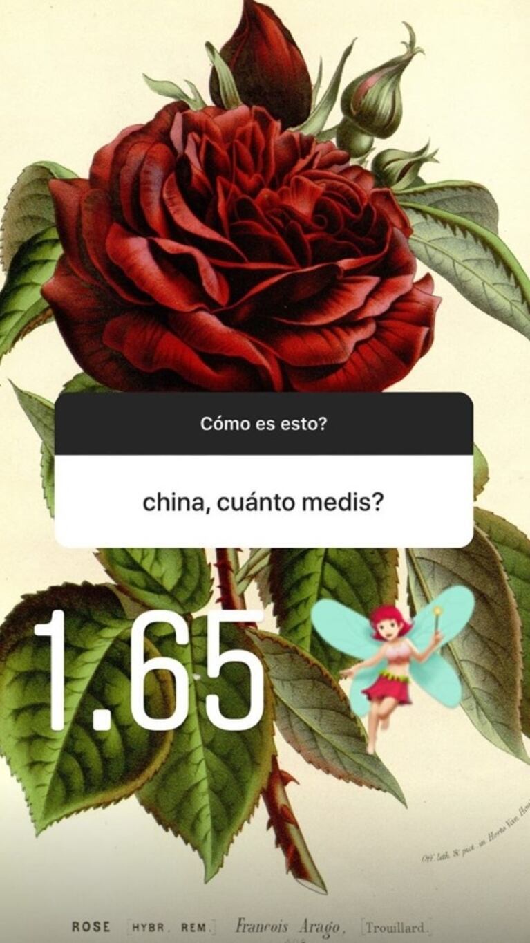 La postura de la China Suárez ante las críticas que recibe en las redes