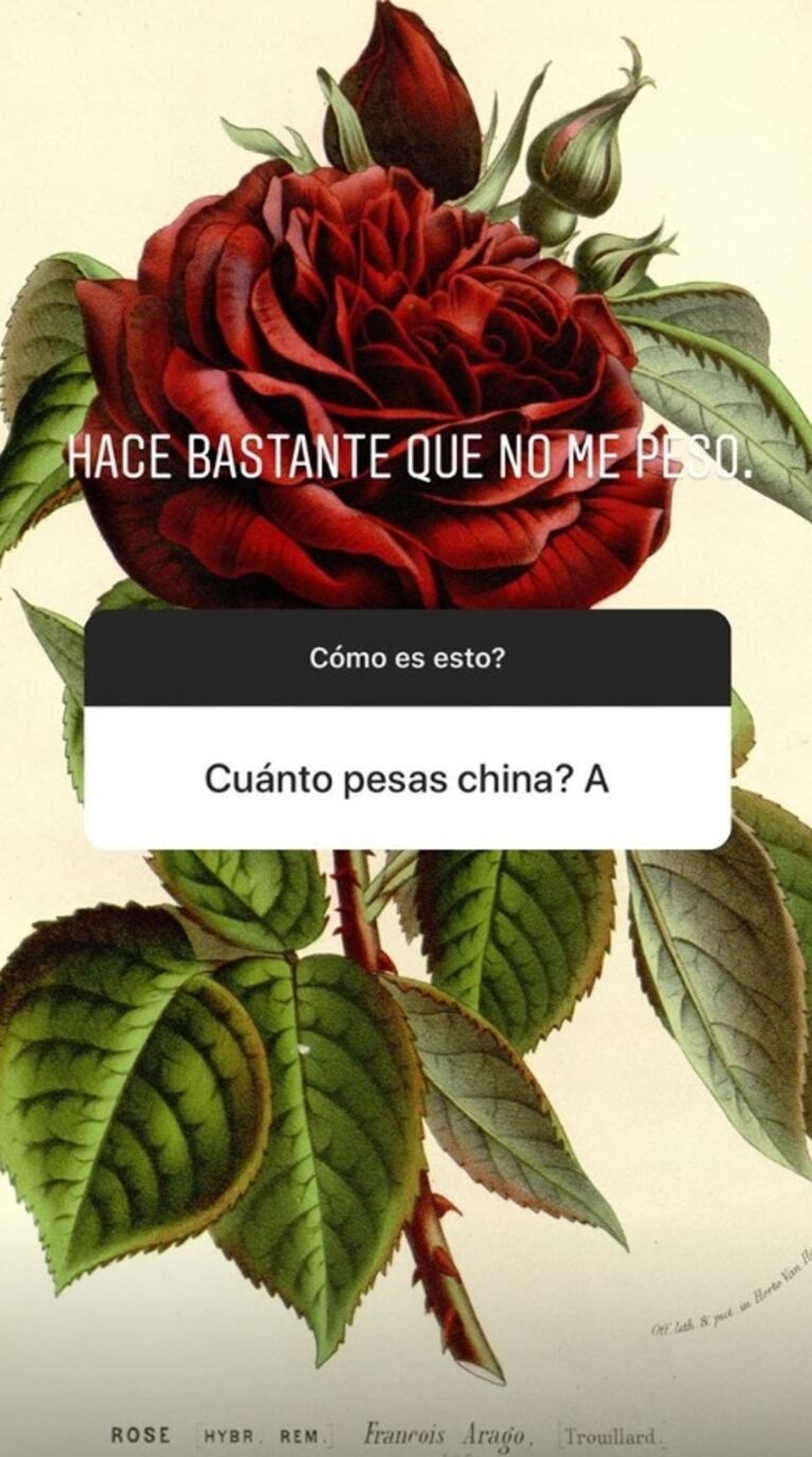 La postura de la China Suárez ante las críticas que recibe en las redes