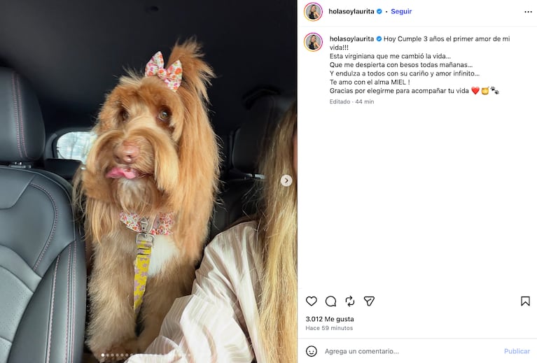 La publicación que le dedicó Laurita Fernández a Miel por su cumpleaños (Foto: Instagram @holasoylaurita)