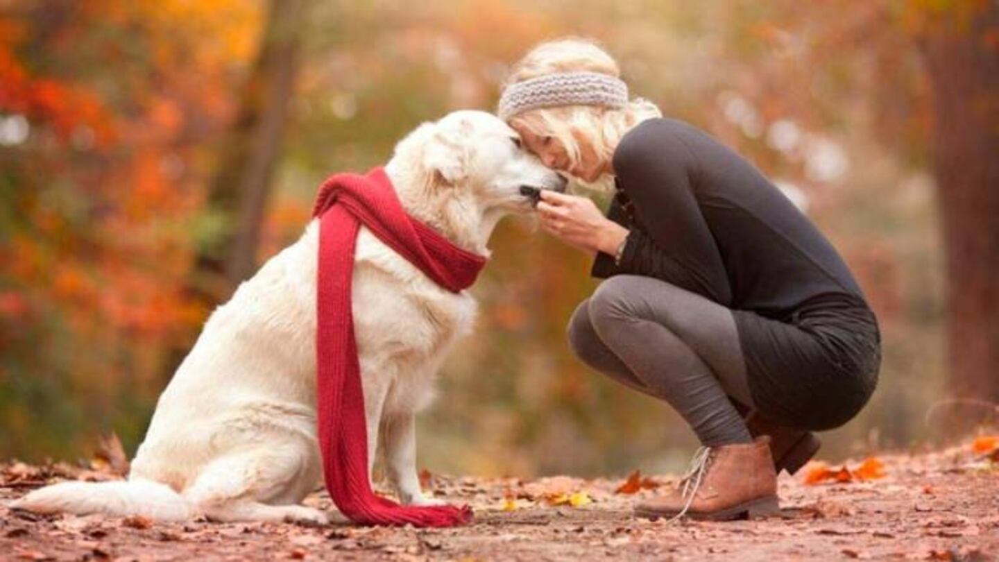 La razón por la que los perros siguen a sus dueños a todos lados