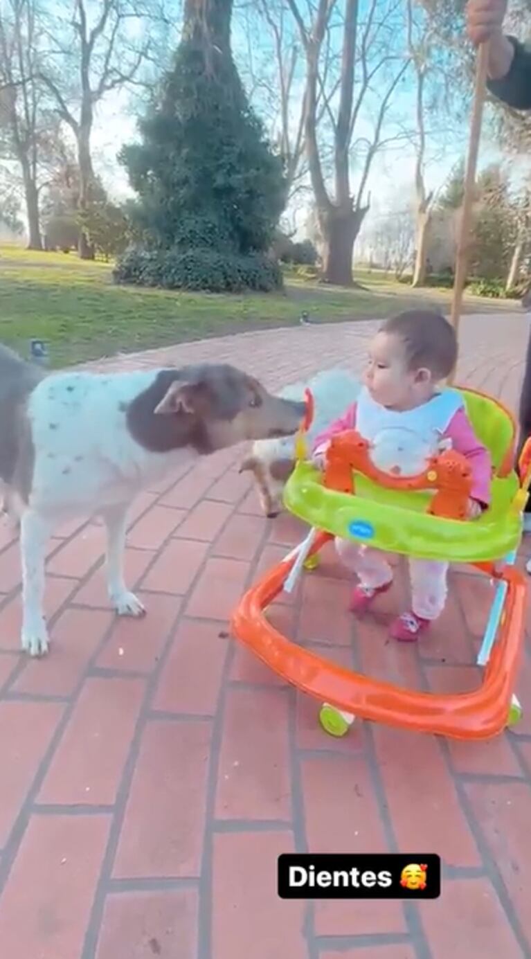 La reacción de Barby Franco a las críticas por dejar jugar a Sarah con su perro