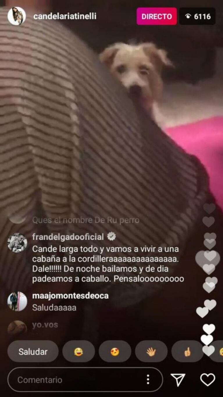 La reacción de Cande Tinelli al recibir una insólita propuesta romántica de Francisco Delgado: "¿Qué dice?"