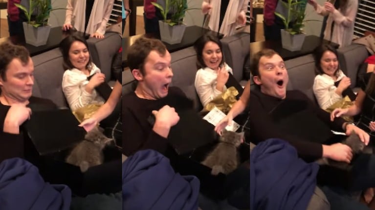 La reacción de este chico al recibir un gato por sorpresa el día de su cumpleaños conquista TikTok