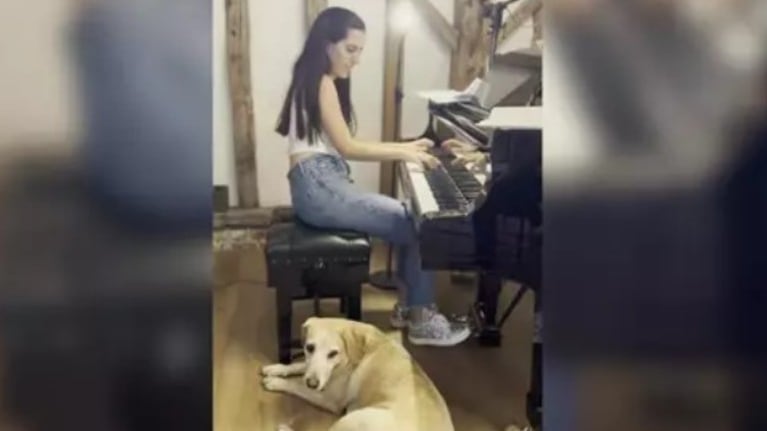 La reacción de este perro al oir a su dueño tocar el piano: adorable