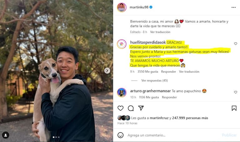 La respuesta de las rescatistas de Arturo tras su reencuentro con Martín Ku (Foto: Instagram)