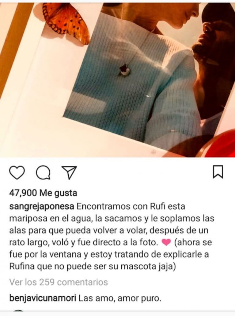 La tierna anécdota de la China Suárez con a Rufina, atraídas por una mariposa: "Voló y fue directo a la foto"