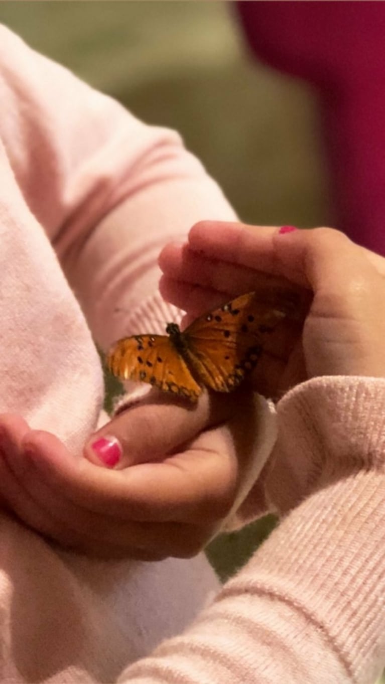 La tierna anécdota de la China Suárez con a Rufina, atraídas por una mariposa: "Voló y fue directo a la foto"