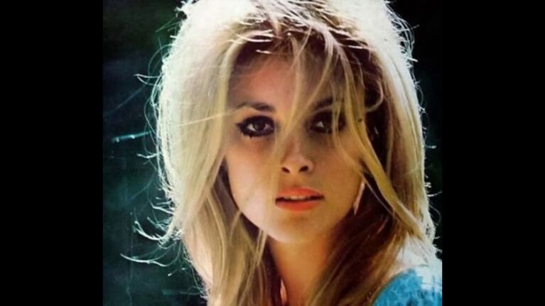 La trayectoria actoral de Sharon Tate