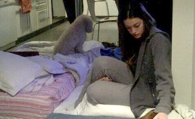 La triste despedida de Catherine Fulop a su mascota, Sam (Foto: Twitter).