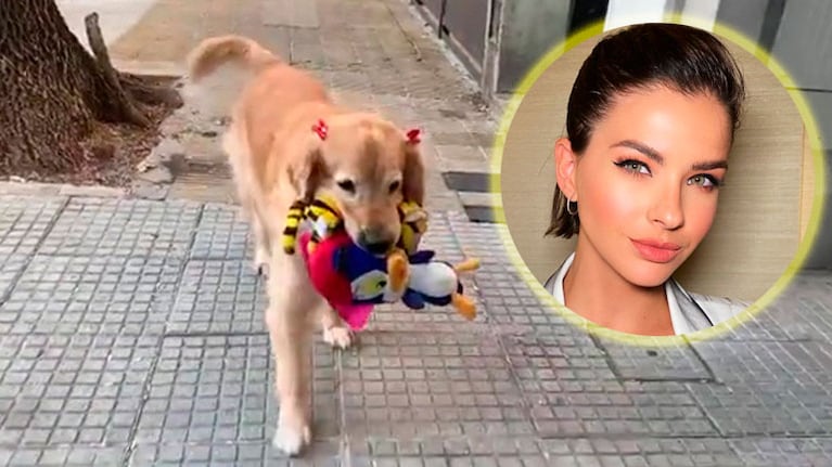 La triste historia de Olivia, la perra que derritió de amor a la China Suárez: Pensé que no lo iba a lograr