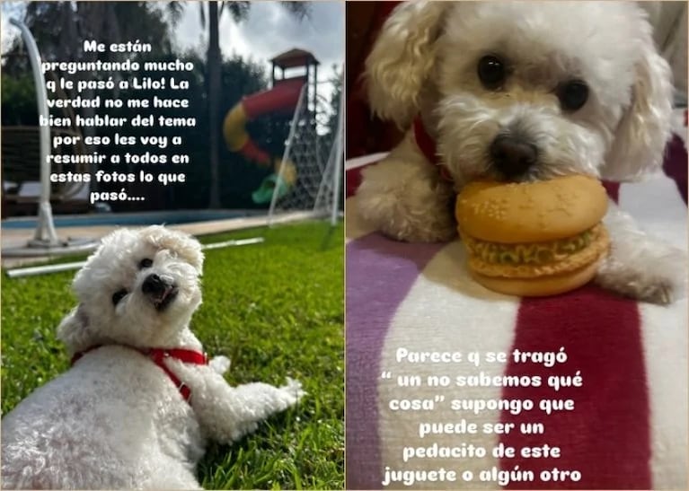 La tristeza de Fernanda Vives. Crédito: Instagram/@fervivesok.
