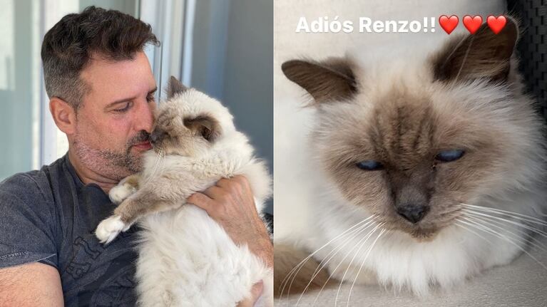 La tristeza de José María Listorti por la muerte de su gato: Hoy se murió Renzo; espero que haya sido feliz con nosotros