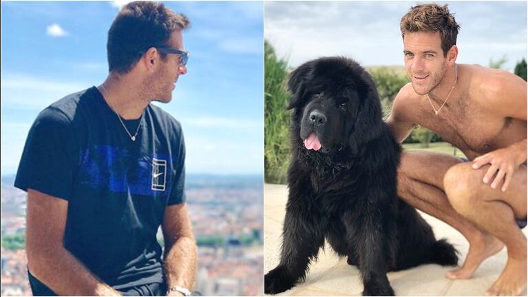La tristeza de Juan Martín del Potro tras la muerte de su perro (Fotos: Instagram)