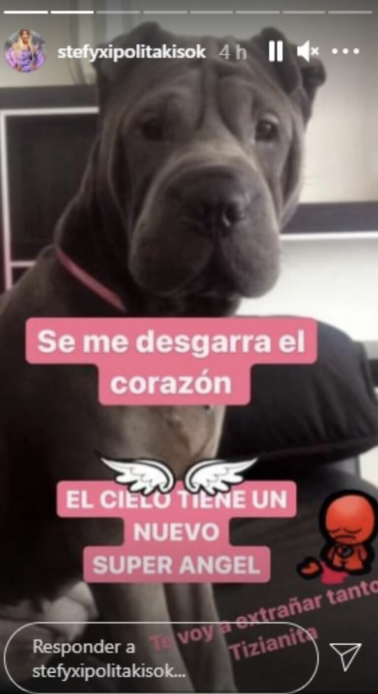 La tristeza de Vicky y Stefi Xipolitakis por la muerte de su mascota: "El cielo tiene un nuevo súper ángel"