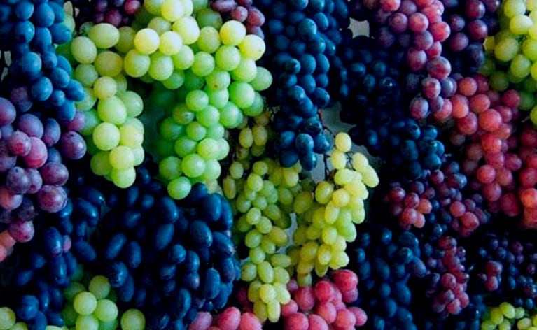 La uva: el antioxidante natural más poderoso