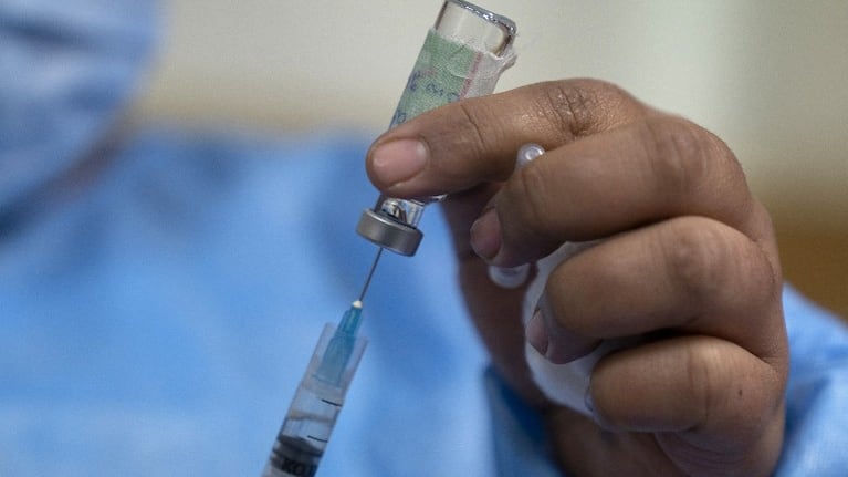 La vacuna india Covaxin ofrece un 81% de eficacia, según el fabricante. Foto: Bloomberg. 