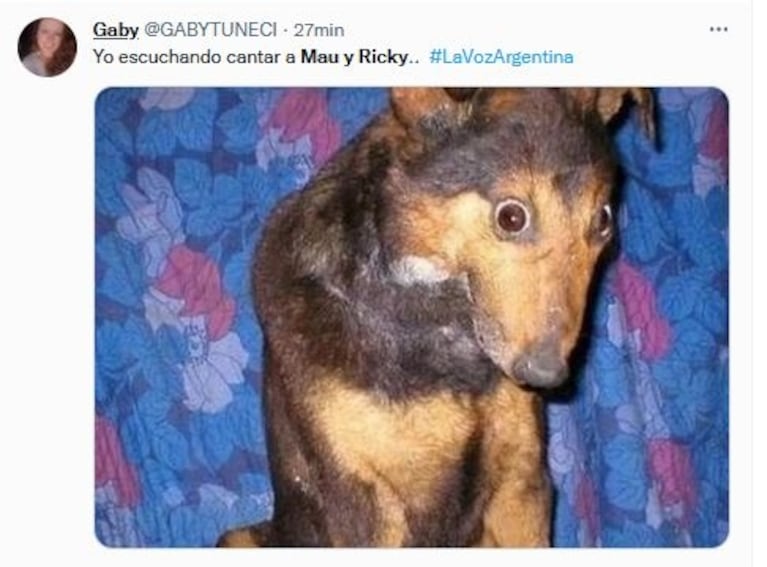 La Voz Argentina: Mau y Ricky agradecieron a Dios por las redes sociales y explotaron los memes