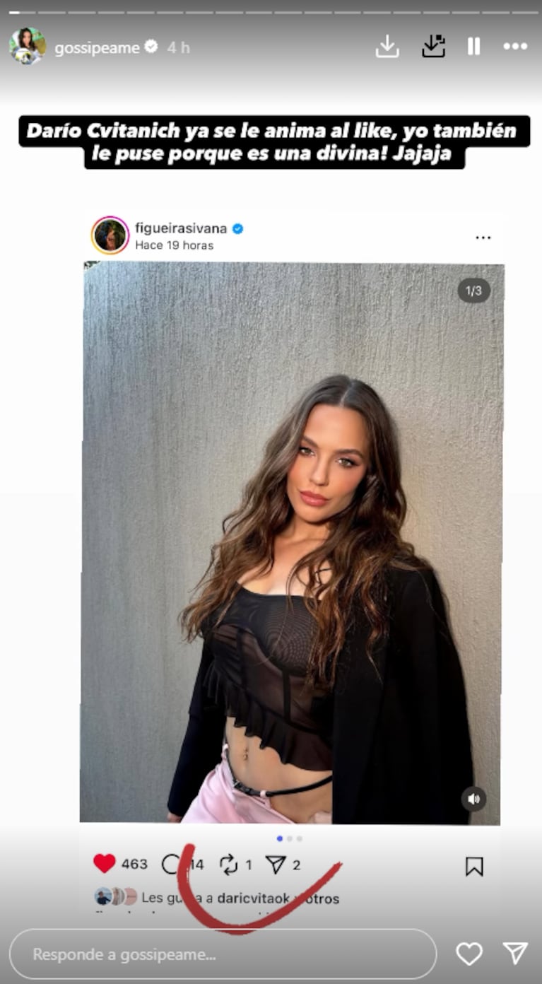 Las contundentes pruebas del romance de Darío Cvitanich e Ivana Figueiras: los likes y las fotos | Créditos: Instagram @gossipeame