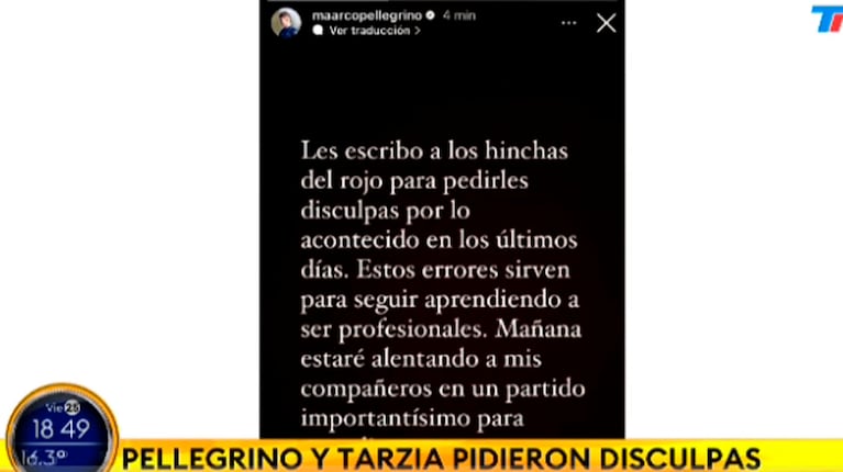 Las disculpas de Pellegrino en Instagram. Foto: captura TN