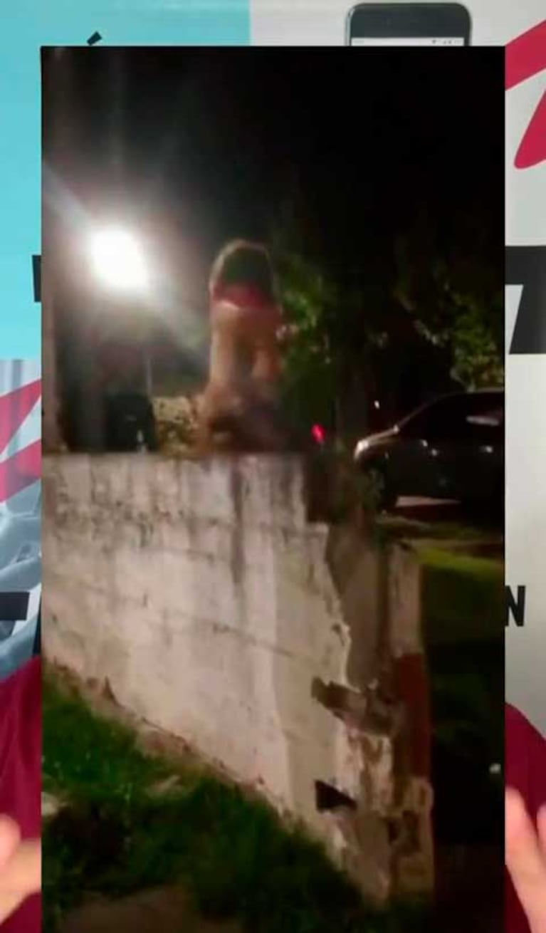 Las fotos de la familia de Mauro Icardi que mostró Juan Etchegoyen (Foto: captura Mitre Live)