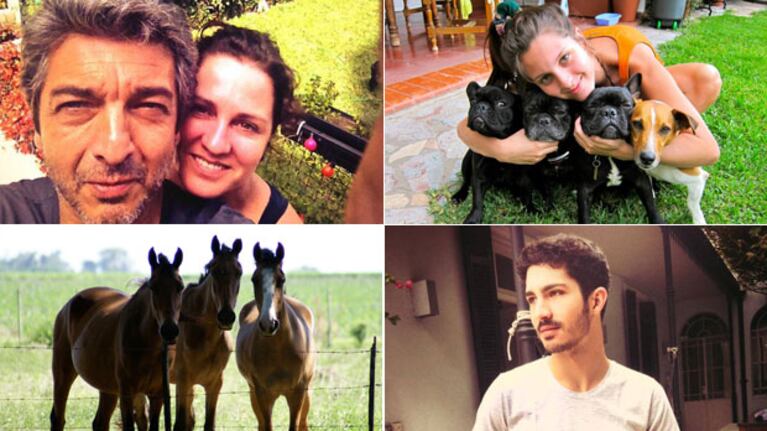 Las fotos de la intimidad de la familia Darín (Fotos: Twitter y Facebook)
