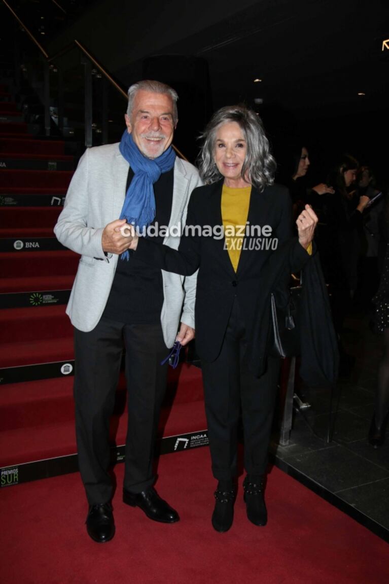 Las fotos de los famosos en los Premios Sur: Julieta Zylberberg con su novio, Mike Amigorena, Leo Sbaraglia y muchos más